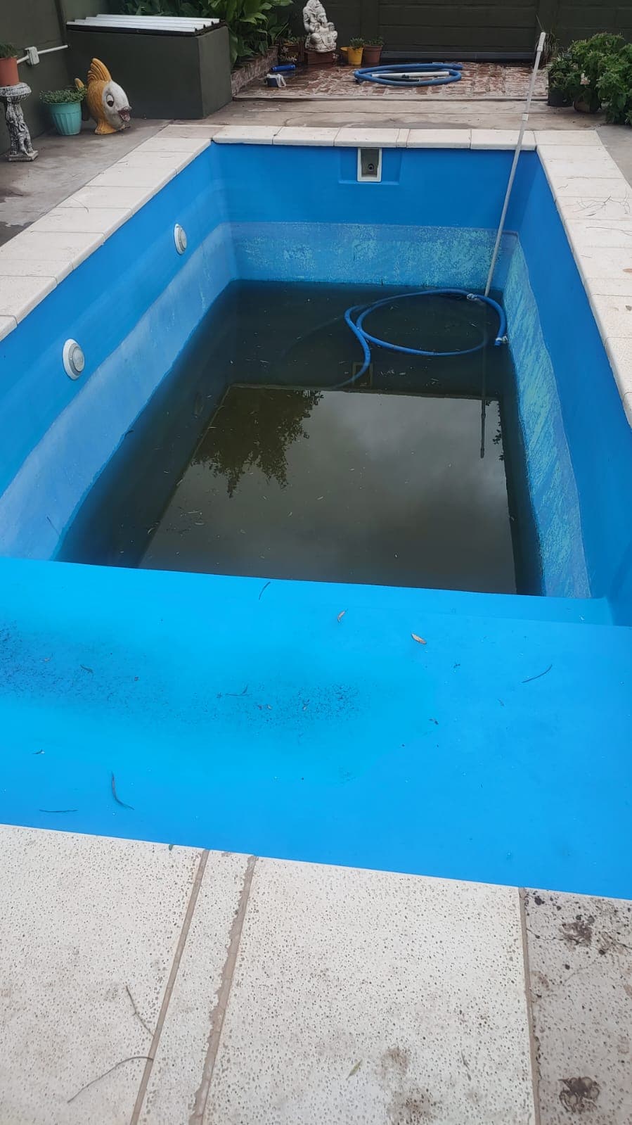 Piscina con el revestimiento desgastado, hojas y agua sucia en el fondo